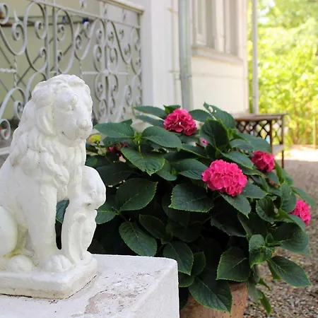 Sanssouci Strandgut Apartment *